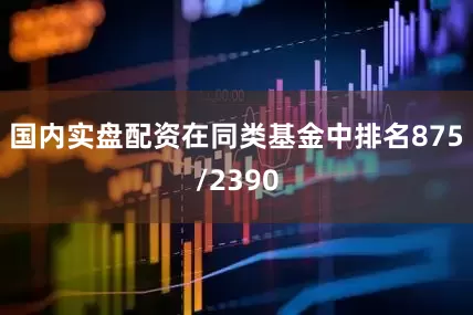 国内实盘配资在同类基金中排名875/2390