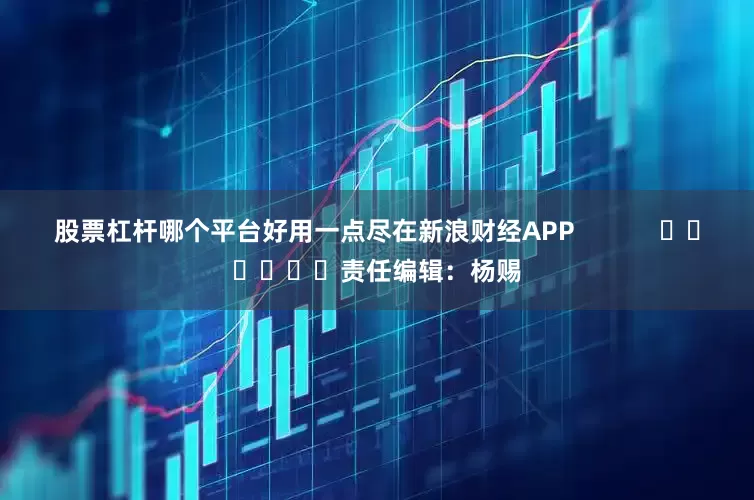 股票杠杆哪个平台好用一点尽在新浪财经APP            						责任编辑：杨赐