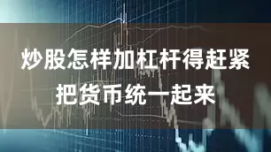 炒股怎样加杠杆得赶紧把货币统一起来